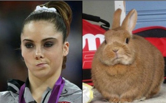20 Look-A-Likes That Will Make You Facepalm