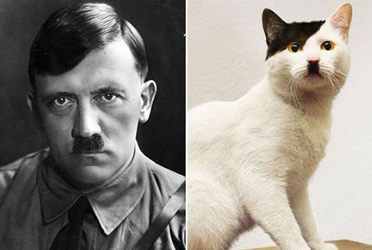 20 Look-A-Likes That Will Make You Facepalm