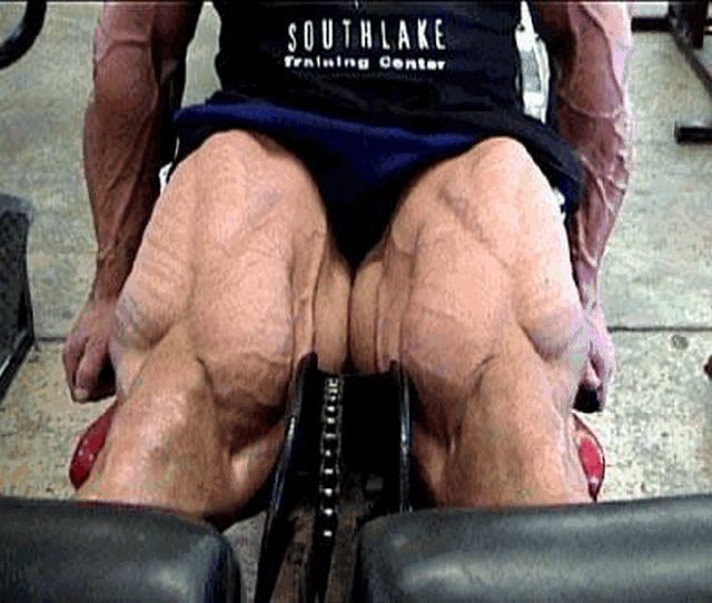 bodybuilder extreme bodybuilding legs