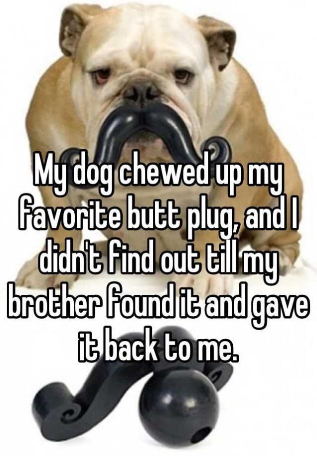 Story about a dog that chewed up a favorite butt plug and brother gave it to her.