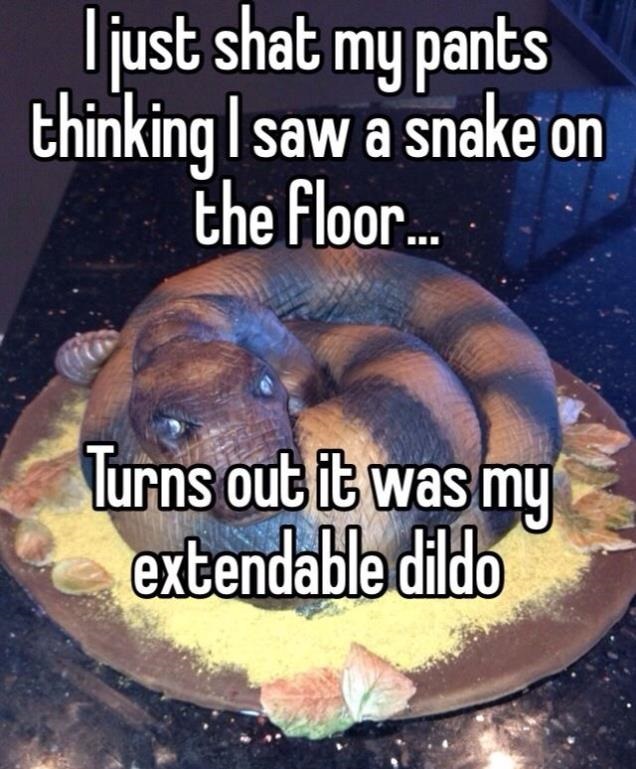 Woman who got scared because she thought a snake was on her floor, turns out it was just her extendable dildo toy.