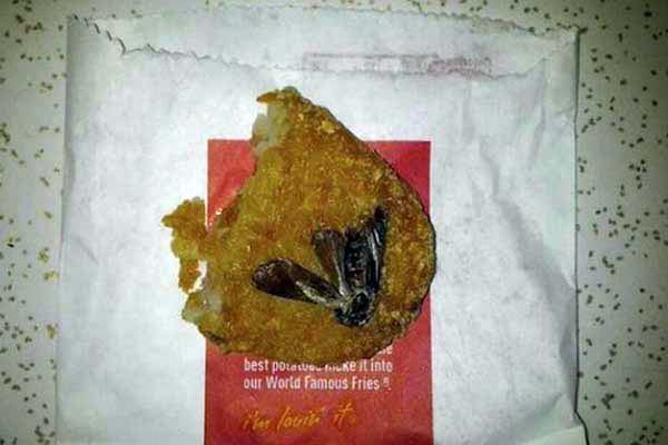 A McDonald's hash brown with a moth compacted at the bottom.