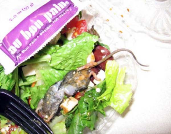 A dead mouse in your salad.