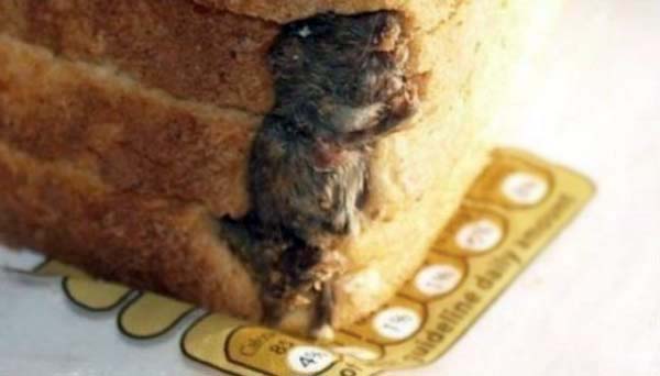 A mouse compressed at the bottom of that loaf of bread you just bought.
