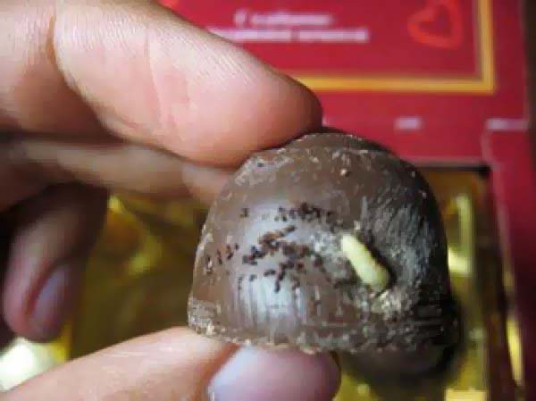 A maggot on your chocolate.