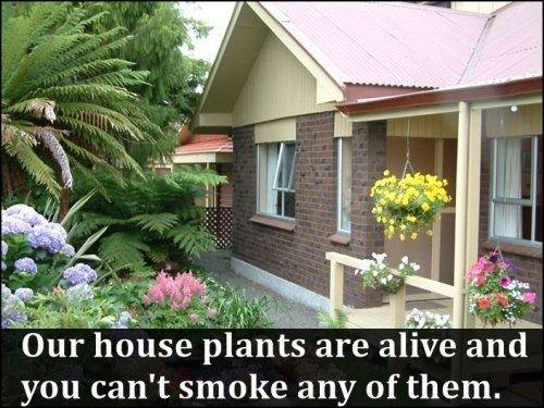garden design ideas - Our house plants are alive and you can't smoke any of them.