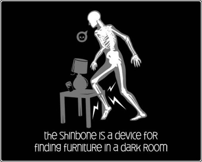 shinbone funny - the Shinbone is a device For finding furniture in a dark Room