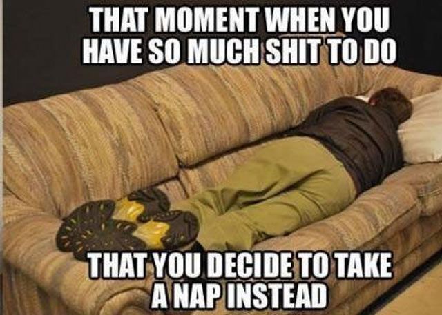 you have so much shit to do - That Moment When You Have So Much Shit To Do That You Decide To Take A Nap Instead