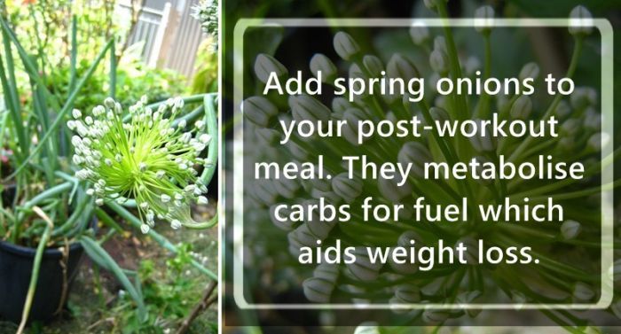 grass - Add spring onions to your postworkout meal. They metabolise carbs for fuel which aids weight loss.