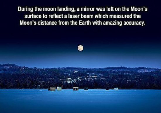 14 Intriguing Facts To Entertain Your Brain
