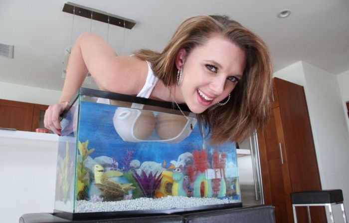 tits in fish tank