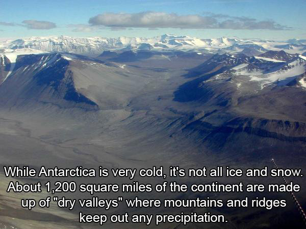 cursed valley in antarctica - While Antarctica is very cold, it's not all ice and snow. About 1,200 square miles of the continent are made up of "dry valleys" where mountains and ridges keep out any precipitation.