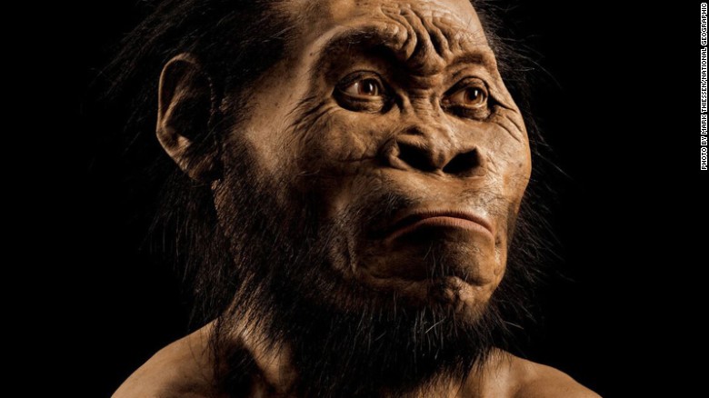 Scientist believe they have found a new species of Human Relative remains in the Rising Star Cave of South Africa.