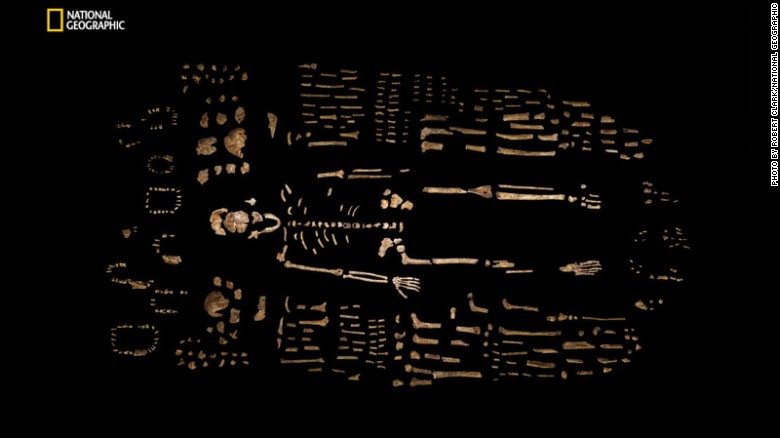 A composite of Homo naledi's skeletal remains found in the Dinaledi Chamber of the cave.