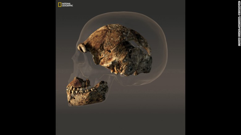 The head of Homo naledi is definitely smaller than the average human skull.