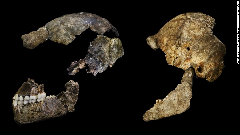 Researches believe the size of naledi's brain was about the size of an orange.