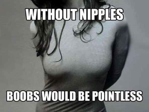 boobs without nipples are pointless - Without Nipples Boobs Would Be Pointless