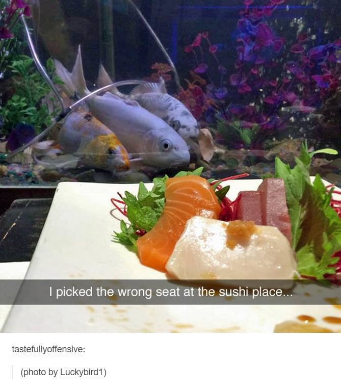 epic snapchat I picked the wrong seat at the sushi place... tastefullyoffensive photo by Luckybird1