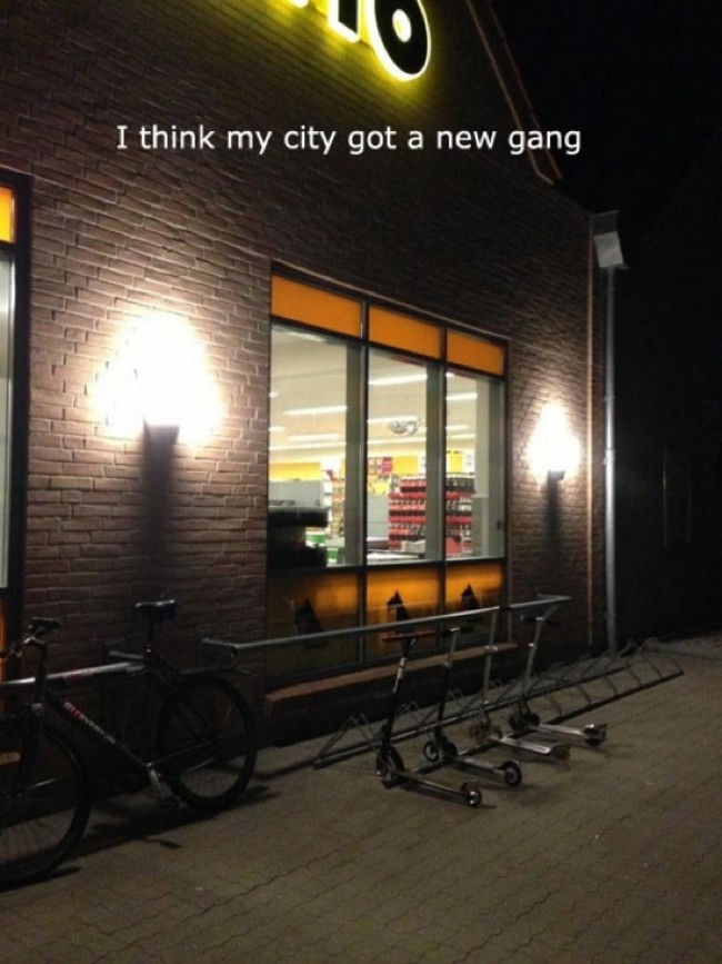 epic snapchat funny edgy - I think my city got a new gang