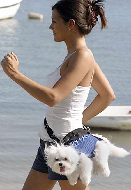 Fanny Pack for Your Dog