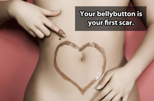 belly with chocolate - Your bellybutton is your first scar.