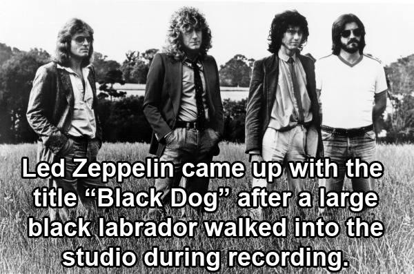 led zeppelin - Led Zeppelin came up with the title Black Dog after a large black labrador walked into the studio during recording. Mason