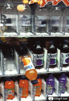 21 Random Gifs For Your Viewing Pleasure