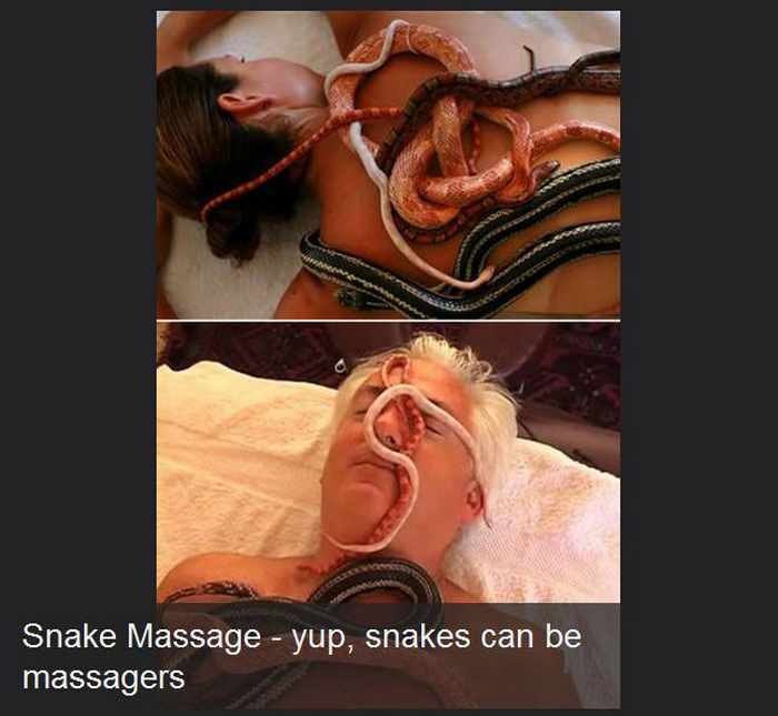 snake massage - Snake Massage yup, snakes can be massagers