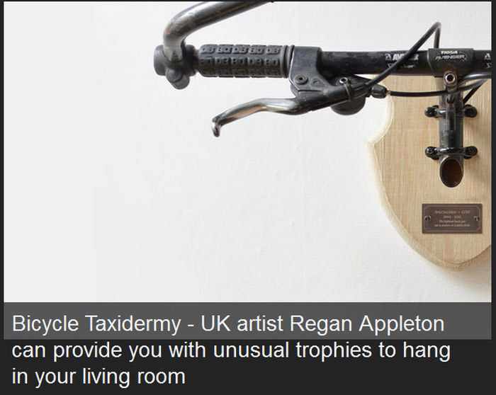 Bicycle - Bicycle Taxidermy Uk artist Regan Appleton can provide you with unusual trophies to hang in your living room