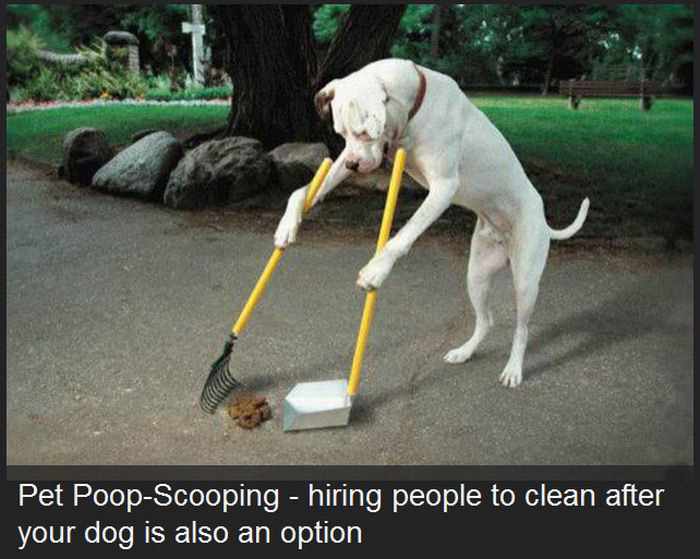 dog busters - Pet PoopScooping hiring people to clean after your dog is also an option