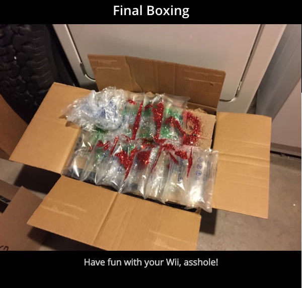 Final Boxing Have fun with your Wii, asshole!