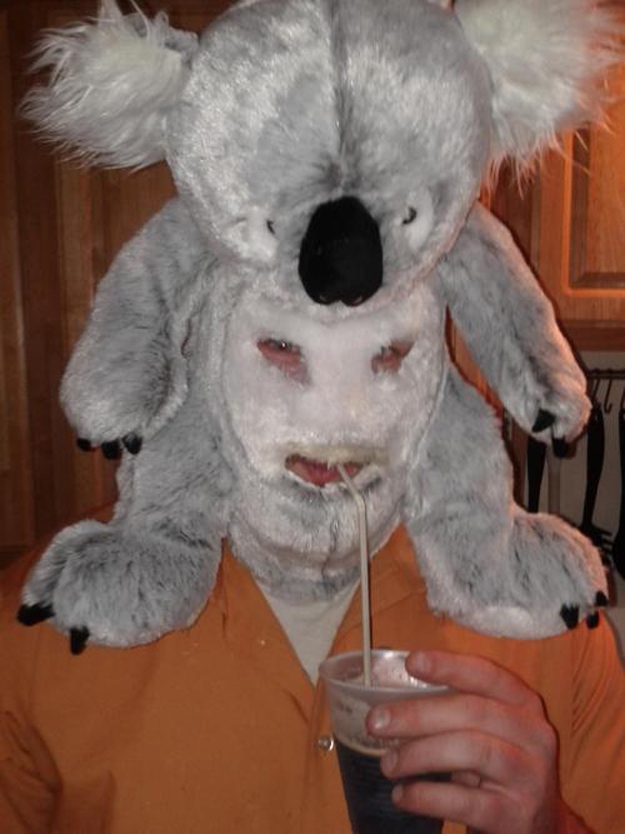 koala mask man