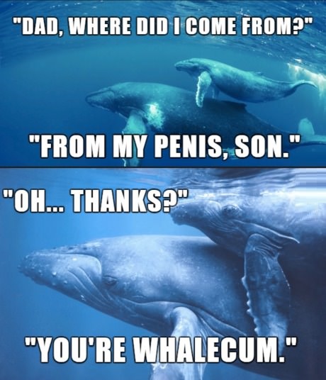 horrible puns - "Dad, Where Did I Come From?" "From My Penis, Son." "Oh... Thankso" "You'Re Whalecum."
