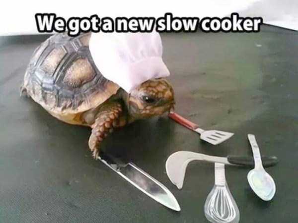 just bought a slow cooker - We got a new slow cooker