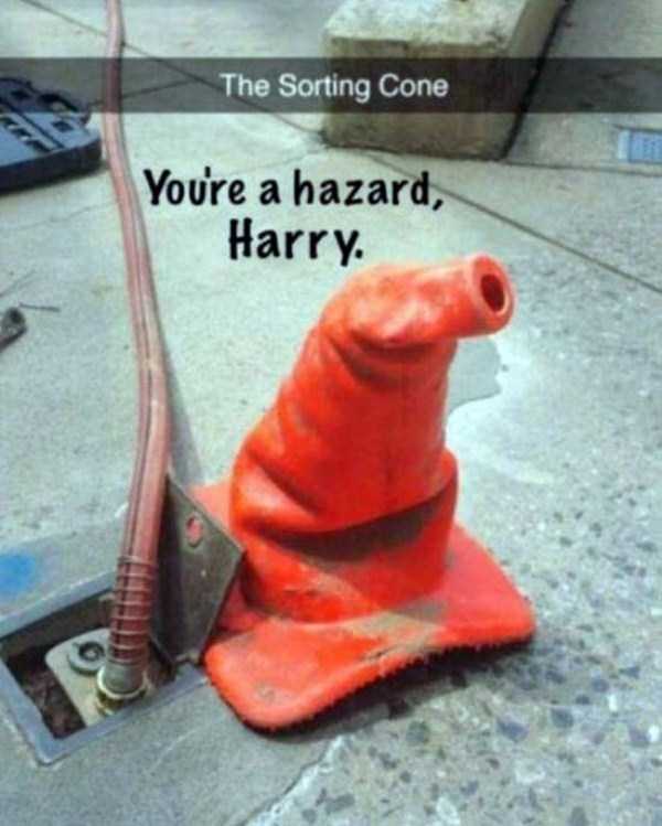 sorting cone - The Sorting Cone You're a hazard, Harry