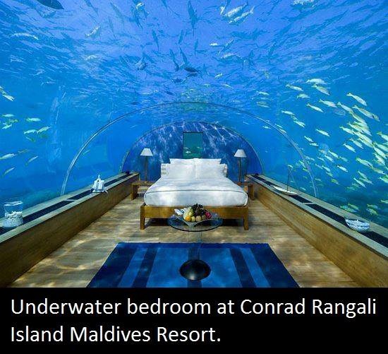 aquarium hotel in dubai - Underwater bedroom at Conrad Rangali Island Maldives Resort,