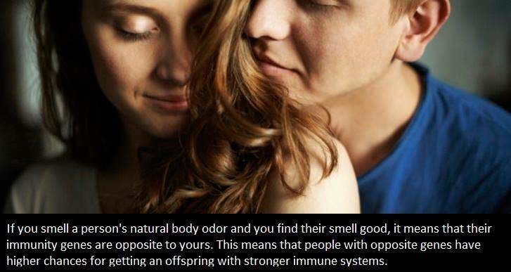 If you smell a person's natural body odor and you find their smell good, it means that their immunity genes are opposite to yours. This means that people with opposite genes have higher chances for getting an offspring with stronger immune systems,