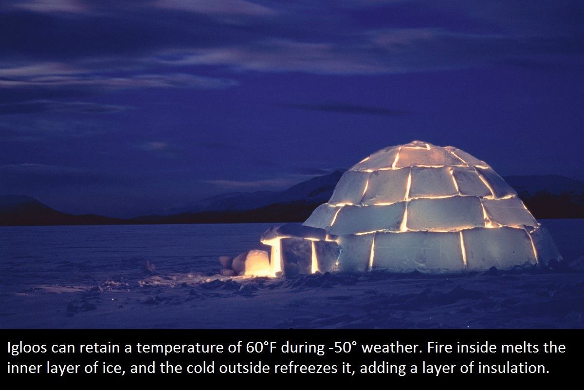 inuit igloo - Igloos can retain a temperature of 60F during 50 weather. Fire inside melts the inner layer of ice, and the cold outside refreezes it, adding a layer of insulation.