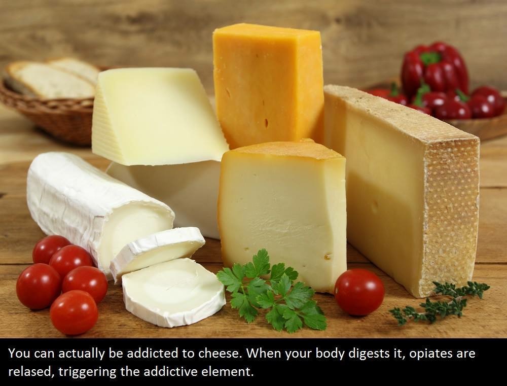 You can actually be addicted to cheese. When your body digests it, opiates are relased, triggering the addictive element.