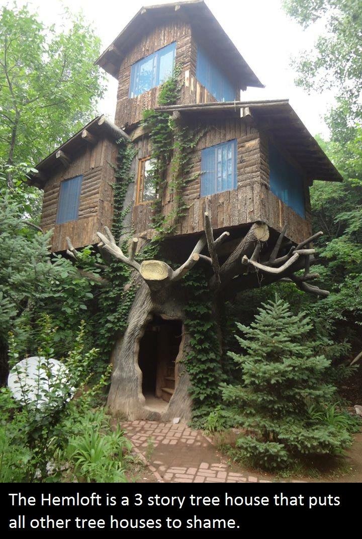 three story treehouse - 124 The Hemloft is a 3 story tree house that puts all other tree houses to shame.