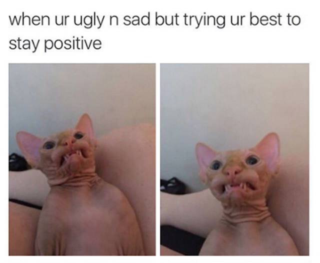 sad and ugly - when ur ugly n sad but trying ur best to stay positive