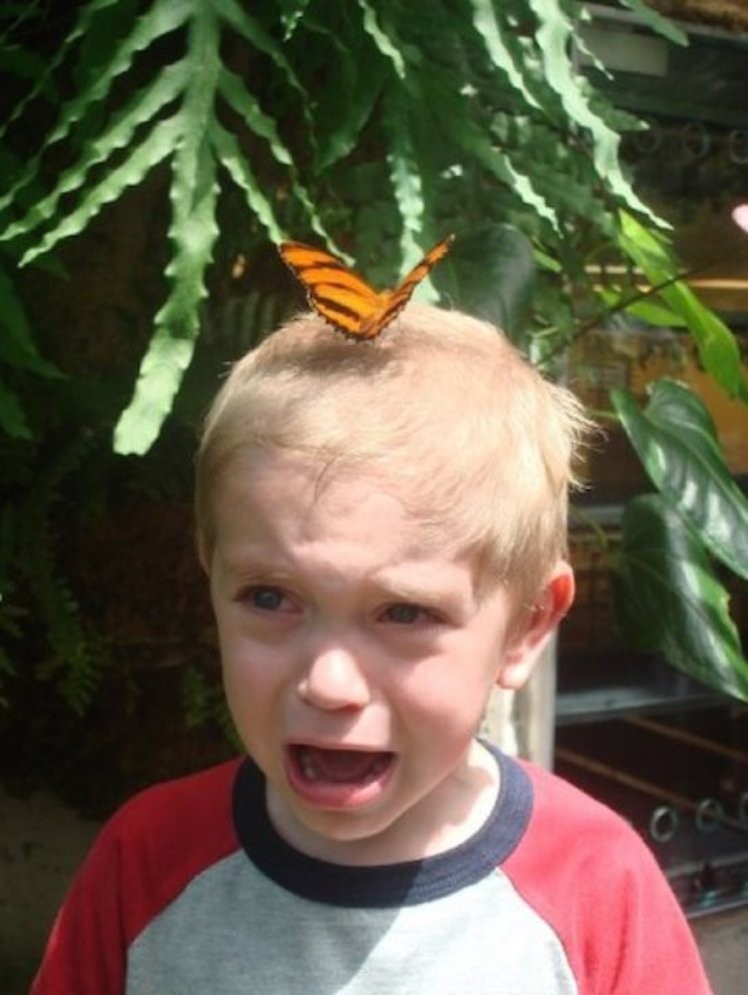 kid scared of butterfly