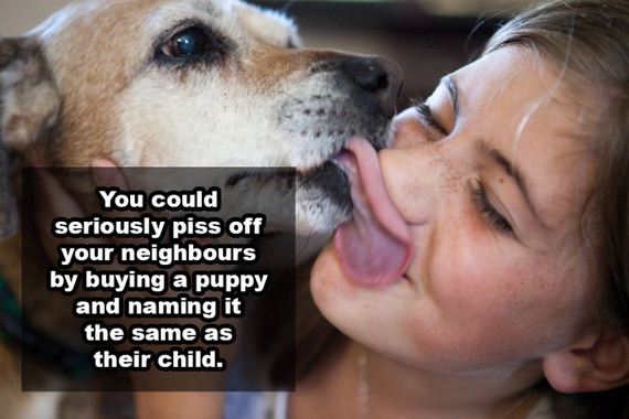 mind blowing weird shower thoughts - You could seriously piss off your neighbours by buying a puppy and naming it the same as their child.