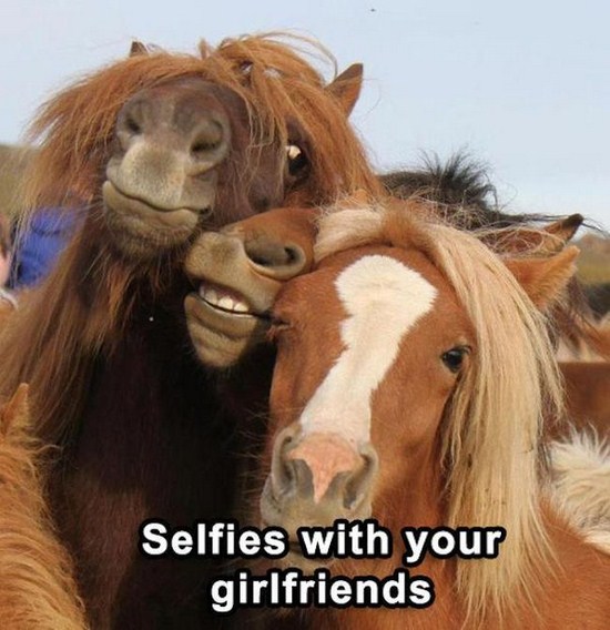 memes - horses selfie - Selfies with your girlfriends
