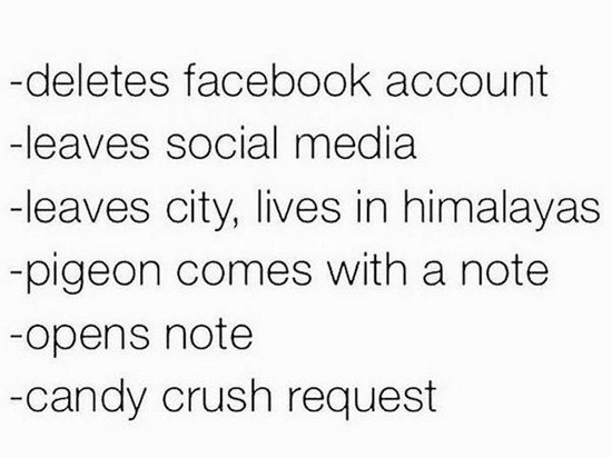 memes - candy crush invite meme - deletes facebook account leaves social media leaves city, lives in himalayas pigeon comes with a note opens note candy crush request