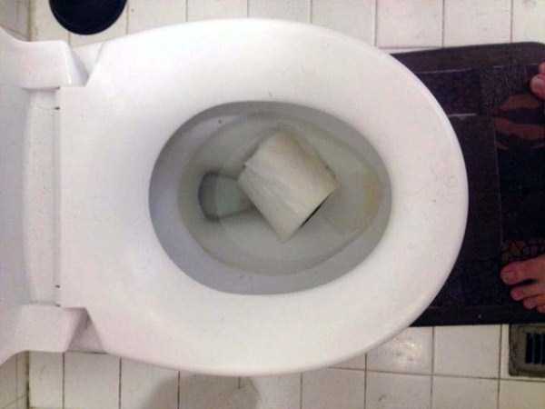 dropped toilet paper roll in toilet