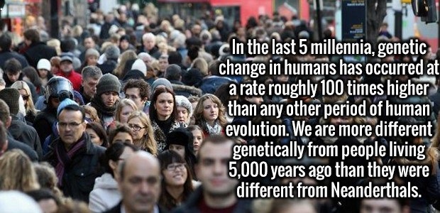 crowd - cIn the last 5 millennia, genetic change in humans has occurred at a rate roughly 100 times higher than any other period of human evolution. We are more different genetically from people living 5,000 years ago than they were different from Neander