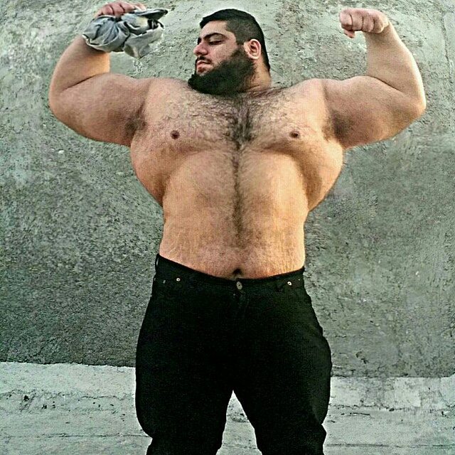 Gharibi has earned the nickname, "The Iranian Hulk," due to his massive size and uncanny proportions.