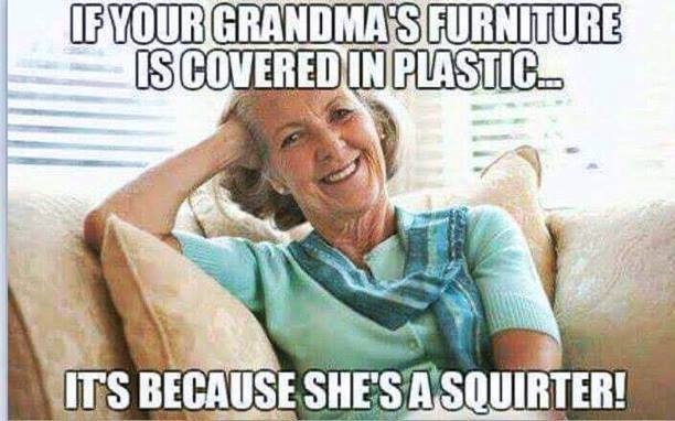 funny disgusting memes - If Your Grandma'S Furniture Is Covered In Plastic Its Because She'S A Squirter!