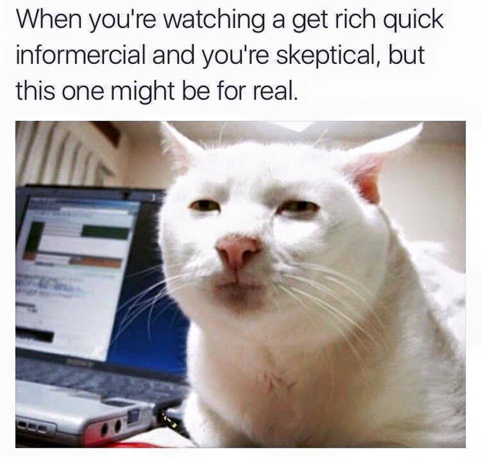 meme animal - When you're watching a get rich quick informercial and you're skeptical, but this one might be for real.